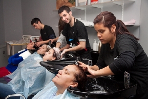 Programa de Peluquer�a de CREAMA