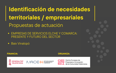 Empresas de servicios de Elche y comarca: Presente y futuro del sector- Propuesta de actuaci�n