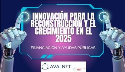 FINANCIACIN Y AYUDAS PBLICAS: "Innovacin para la Reconstruccin y el Crecimiento"