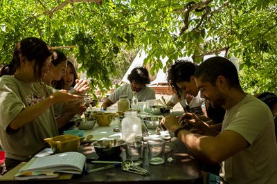 BIO LAB 2025: Un laboratori ef�mer de regeneraci� on es creuen creativitat, disseny circular i comunitat.
