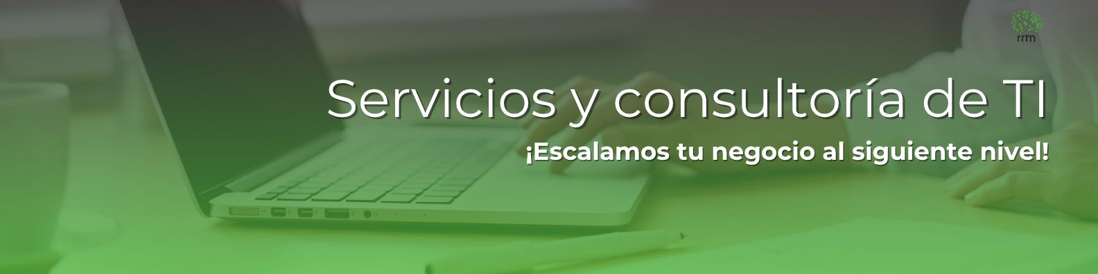 RRM Consultor�a