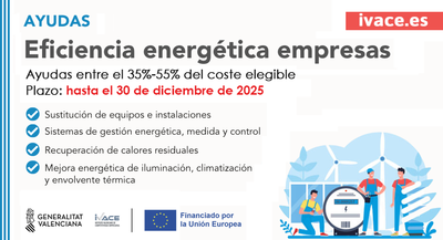 AYUDAS IVACE