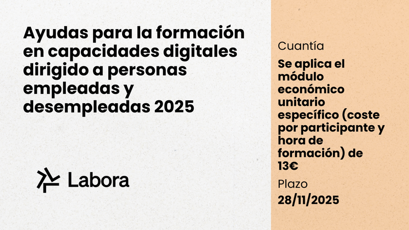 Ayudas para la formación en capacidades digitales dirigido a personas empleadas y desempleadas, 2025