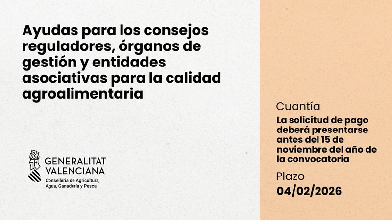 Ampliar imagen