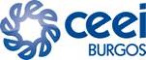Sistemas de gesti�n de Clientes. CEEI Burgos