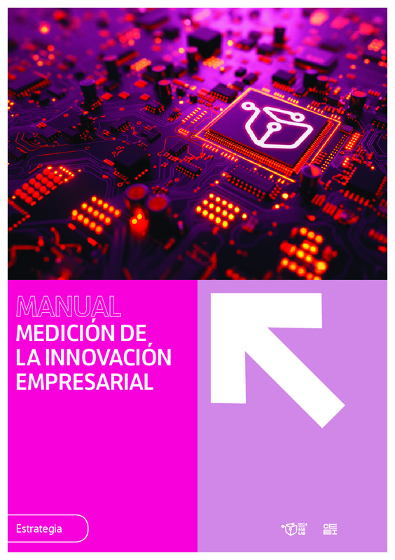 Manual de Medici�n de la Innovaci�n Empresarial