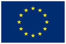 2009.bandera UE