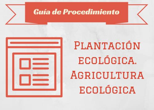Plantación ecológica. Agricultura ecológica