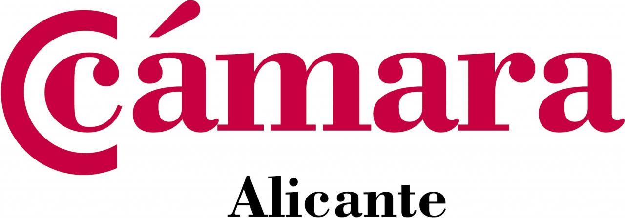 Camara Alicante