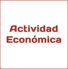 2015.11.05 Información Actividad Económica