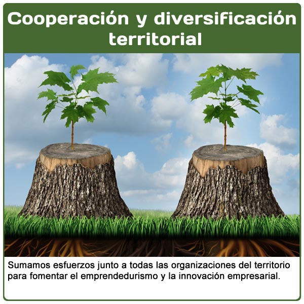 Cooperación y diversificación territorial