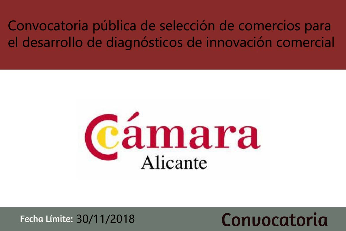 Convocatoria Cmara Alicante