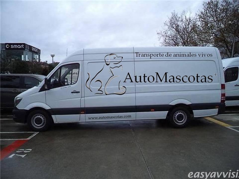 Automascotas