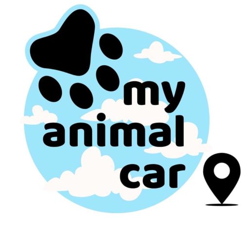 My Animal Car