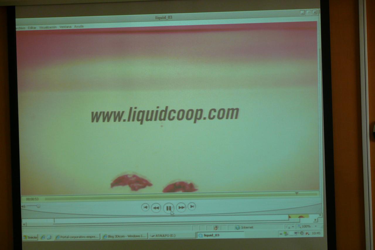 Desayuno de innovaci�n CEEI Castell�n 10/03/2011, Liquid Cooperativa