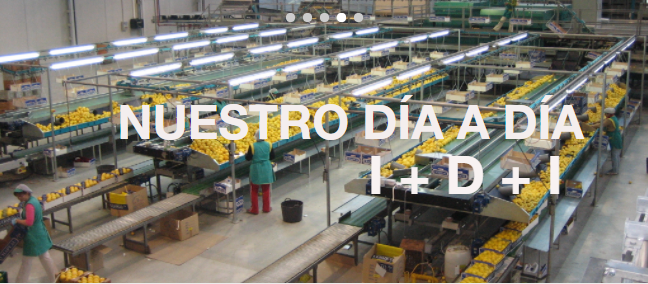 TALLERES OLIVER Y CIA SL
